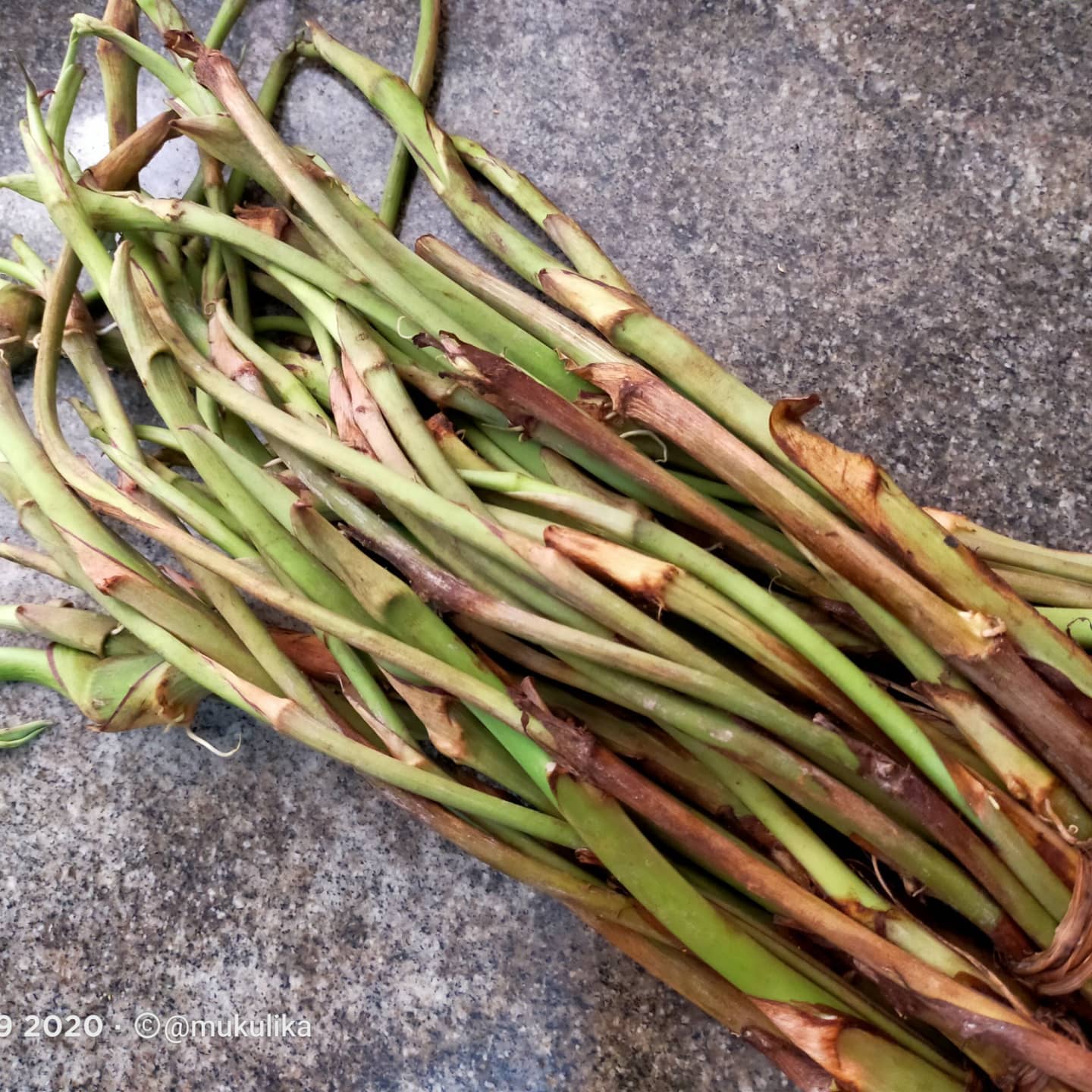 193130720 3082018975370227 7088153997553610821 n